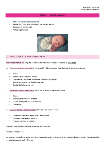 Ginecologia-y-Obstetricia-11.pdf