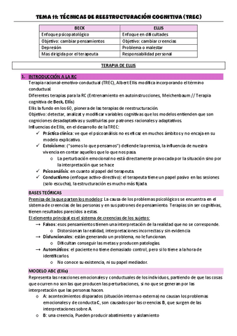 TEMA-11.pdf