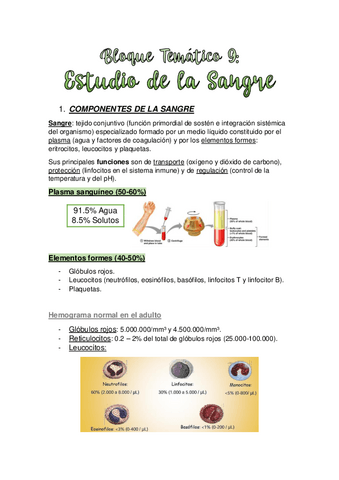 TEMA-9.-ESTUDIO-DE-LA-SANGRE.pdf