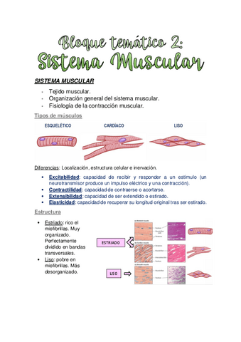 TEMA-2.-SISTEMA-MUSCULAR.pdf