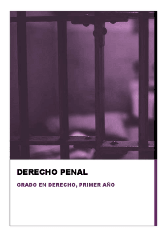 TEMA-4-DERECHO-PENAL.pdf