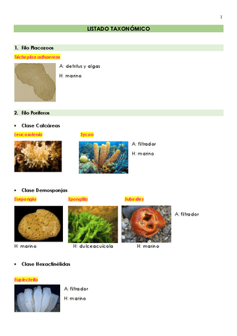LISTADO-TAXONOMICO.-VISU.pdf