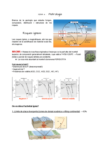 geologia-t.4.pdf