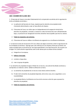 Examen 2017 AEO.pdf