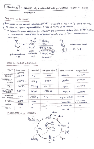 cuaderno-laboratorio-P3-NGR.pdf