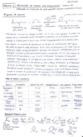 cuaderno-lab-Practica-1-NGR.pdf