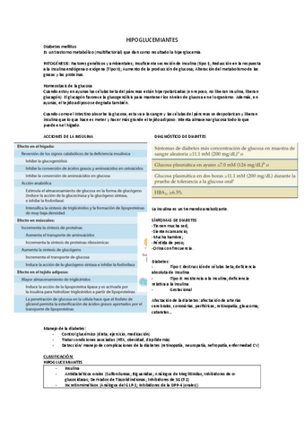 HIPOGLUCEMIANTES.pdf