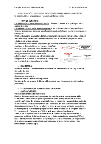 Cicatrización 23/24.pdf