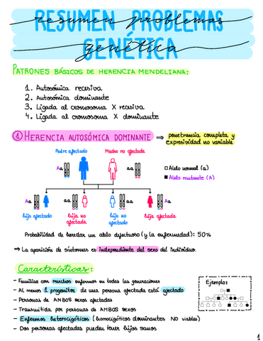 Resumen-Problemas-Genetica.pdf