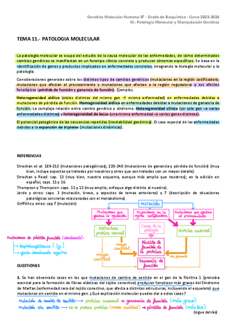 TEMA-11-GMH-23-24.pdf