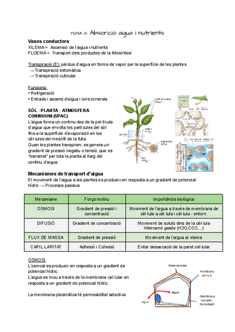 bio-vegetal-t.8.pdf