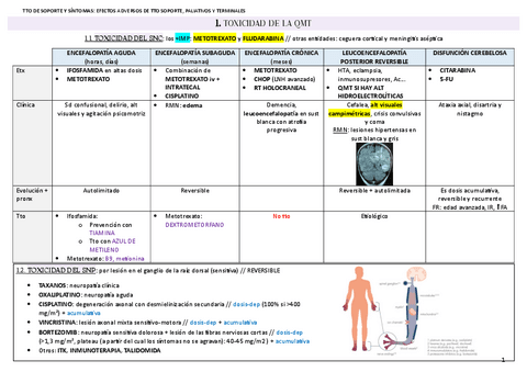 TTO-SOPORTE-Y-SINTOMAS.pdf