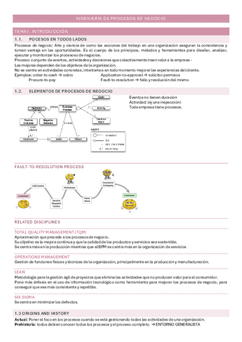 Temario-Ingenieria-de-procesos-de-negocio.pdf
