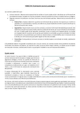Tema CP2. Cirugía plástica. Cicatrización- cuero cabelludo y párpado.pdf