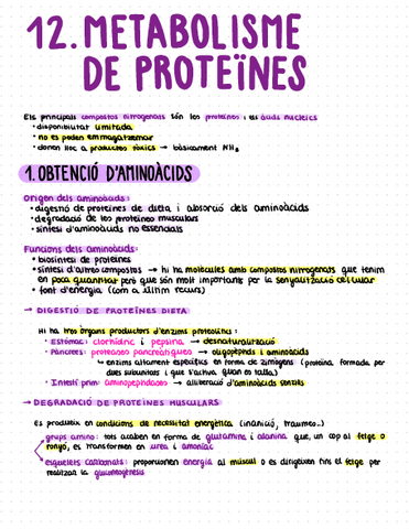 QUÍMICA I BIOQUÍMICA APUNTS TEMA 12.pdf