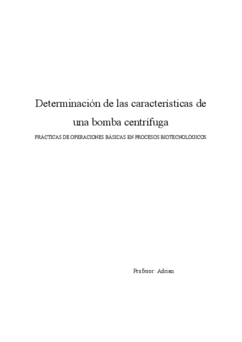 Memoria-practicas.pdf