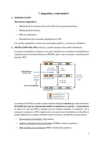 7.-Epigenetica-y-enfermedad-I.pdf