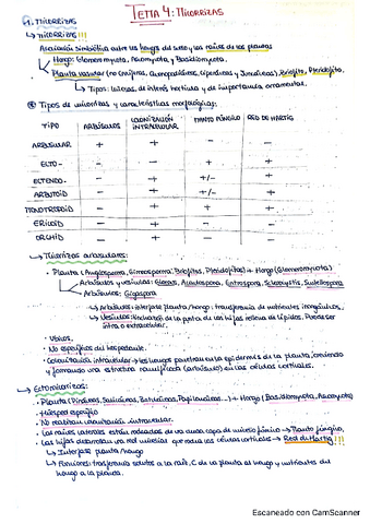 Tema-4-micorrizas.pdf