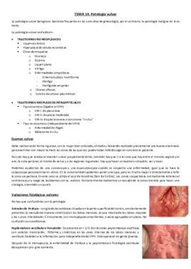 Tema 15 B. Patología vulvar benigna.pdf