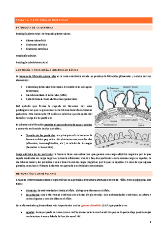 Tema-16.pdf