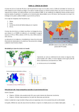 Tema 16. Cancer de cervix I.pdf