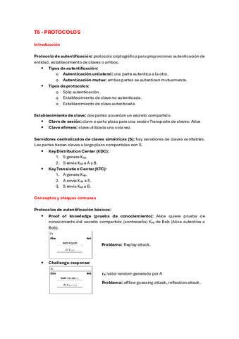 T6-Protocolos.pdf