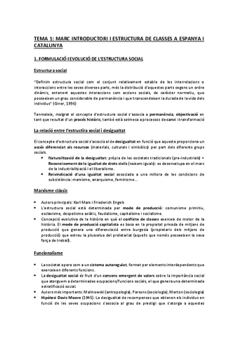 apunts-Estructura-social.pdf