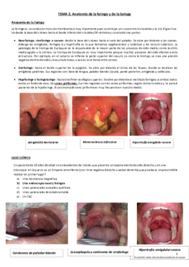 Tema 3. Anatomía de la laringe y faringe.pdf