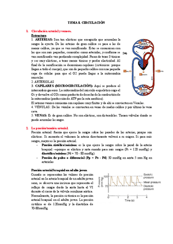 TEMA-8-CIRCULACION.pdf