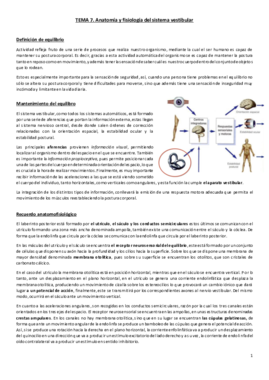 Tema 7. Anatomía y fisiología del sistema vestibular.pdf