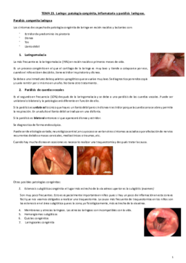 Tema 23. Laringe.pdf