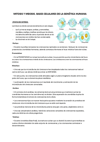 6.-MITOSIS-Y-MEIOSISBASES-CELULARES-DE-LA-GENETICA-HUMANA.pdf