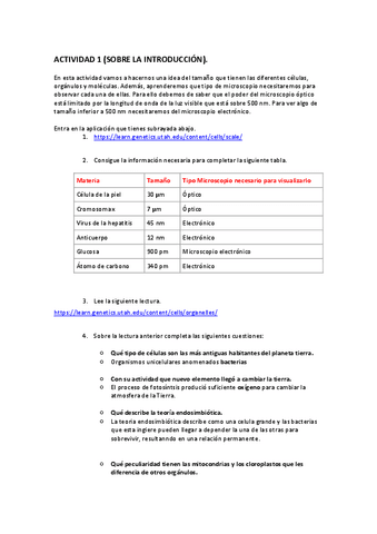 ACTIVIDAD-1-INTRODUCCION-RESUELTA.pdf
