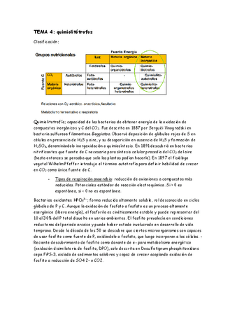 TEMA-4.pdf