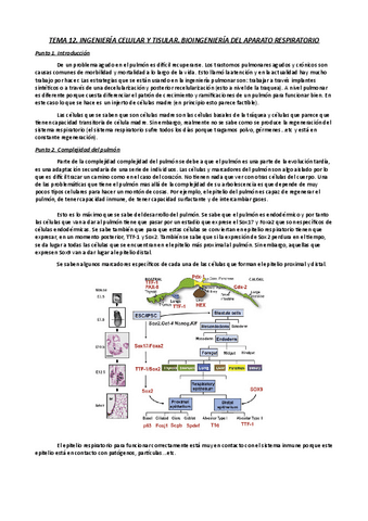 tema-12-ingenieria-celular-y-tisular.pdf
