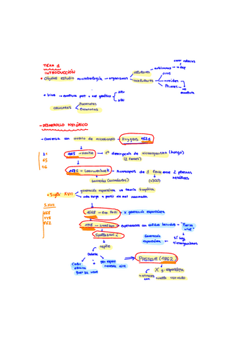 TEMA-1.pdf