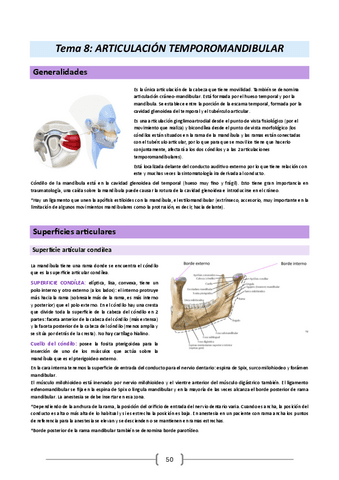 Anatomia-humana-y-embrologia-23-24.-Tema-8.pdf