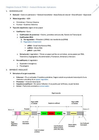T2EvoMolecularAplicacions.pdf