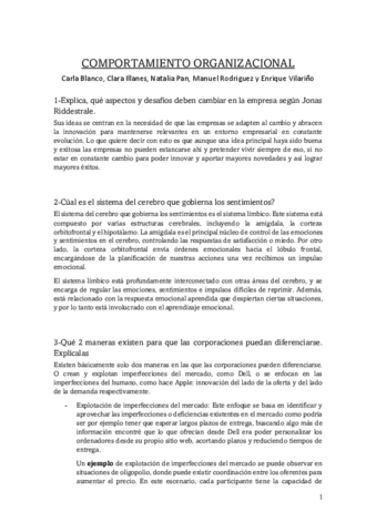 Practica-4-comportamiento-del-trabajo-Ridderstrale.pdf