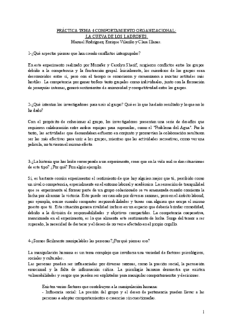 PRACTICA-TEMA-4-COMPORTAMIENTO-ORGANIZACIONAL.pdf