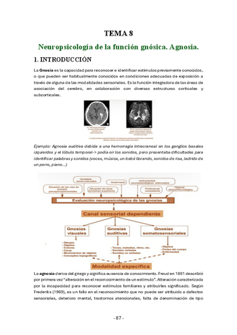 Neuropsicologia-general-tema-8-actualizados-curso-23-24.pdf