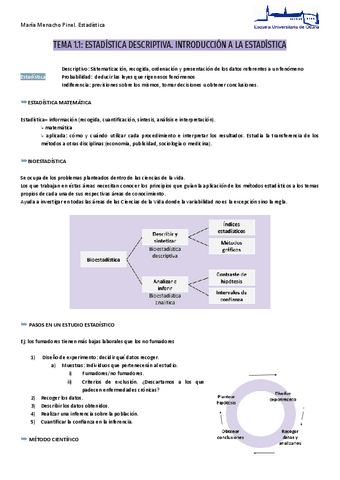 ESTADISTICA-BIEN-TODO-1.pdf