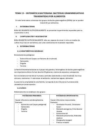 TEMA-13.pdf