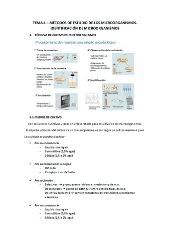 TEMA-4.pdf