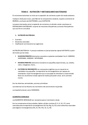 TEMA-6.pdf