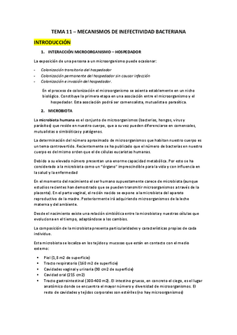 TEMA-11.pdf