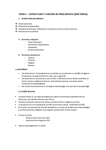 TEMA-5.pdf