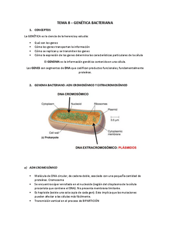 TEMA-8.pdf