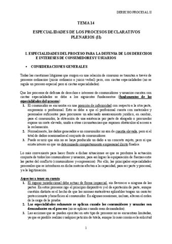 Tema-14-Derecho-Procesal-II.pdf