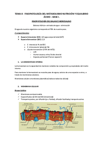 TEMA-8.pdf